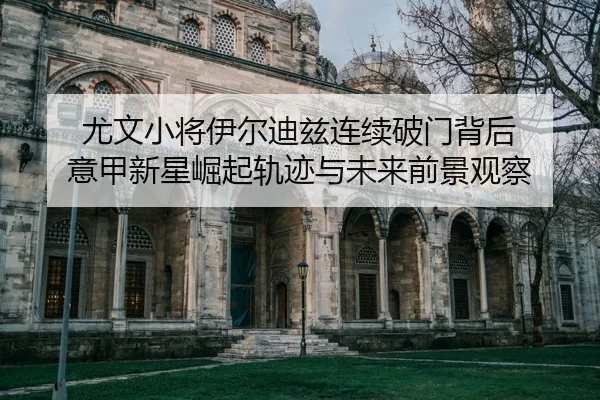 尤文小将伊尔迪兹连续破门背后 意甲新星崛起轨迹与未来前景观察